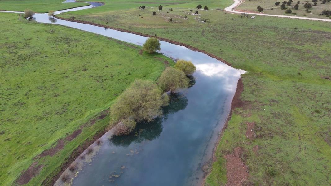 Konya'da masaldan çıkma, tablo gibi güzellik! Leylekler burada mola veriyor 3
